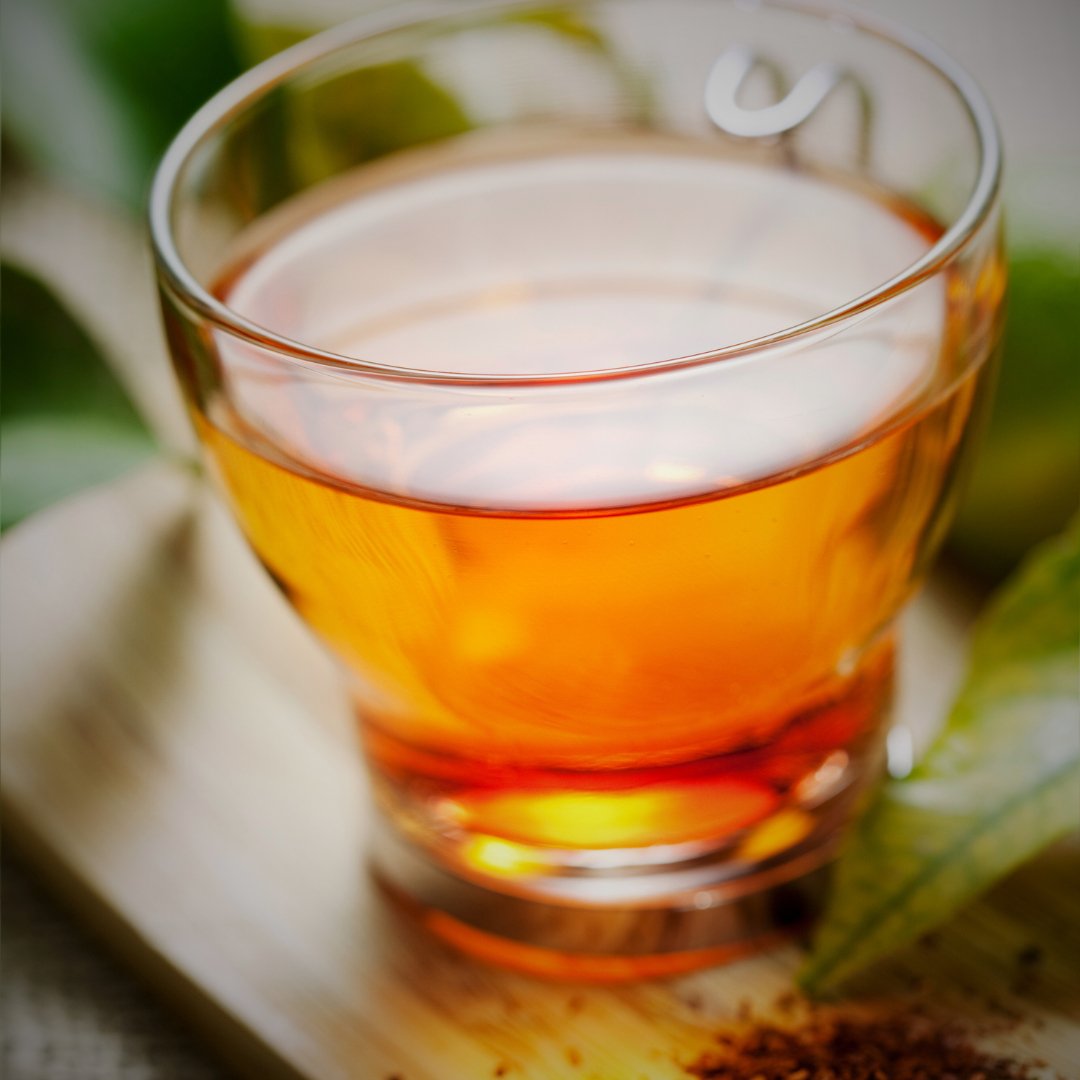 Spicy Chocolate Rooibos Tee - Pure Xocolate - Tee - Spicy Chocolate Rooibos Tee